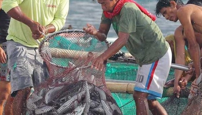 Fishing Items Barter Philippines