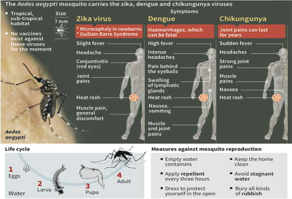 Sexually Transmitted Disease in the United States of America