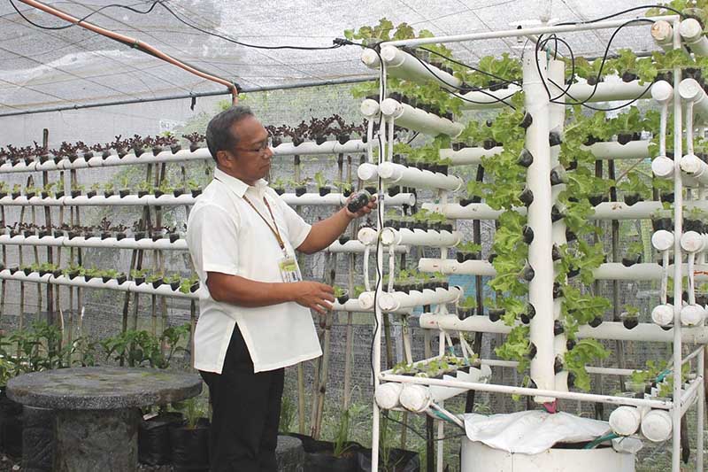 Kursus hortikultur filipina