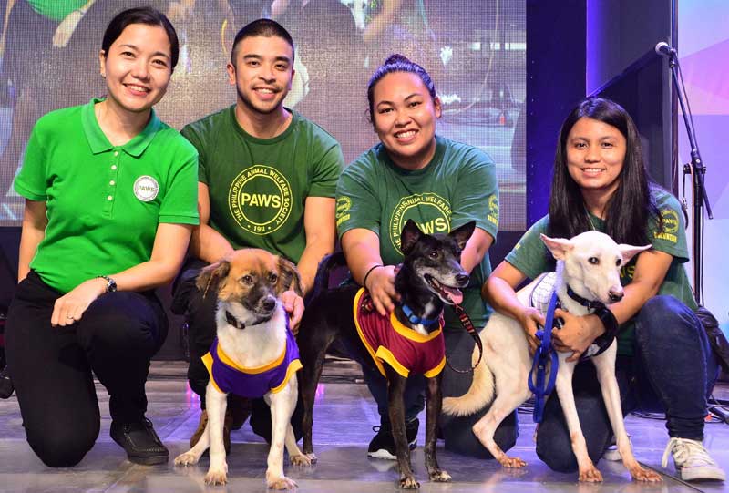 how can i adopt a dog from paws philippines