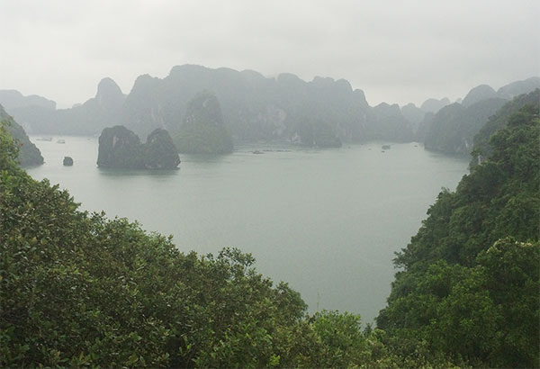 Good morning, Vietnam