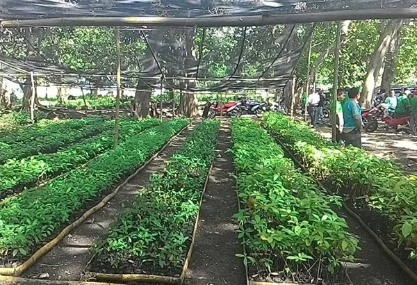 Nature forex philippines