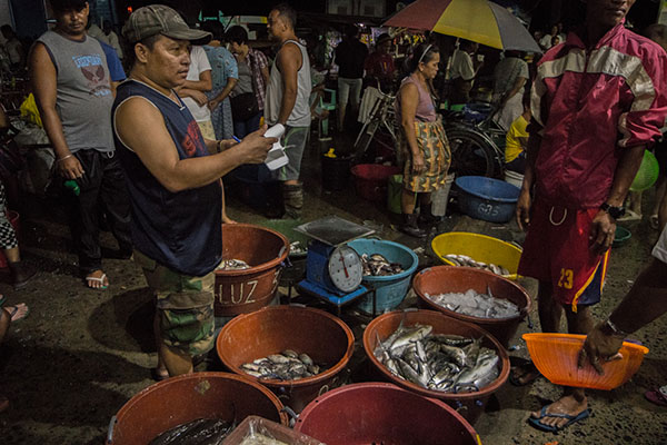 Small fishing enterprises sell their catch to the highest bidder