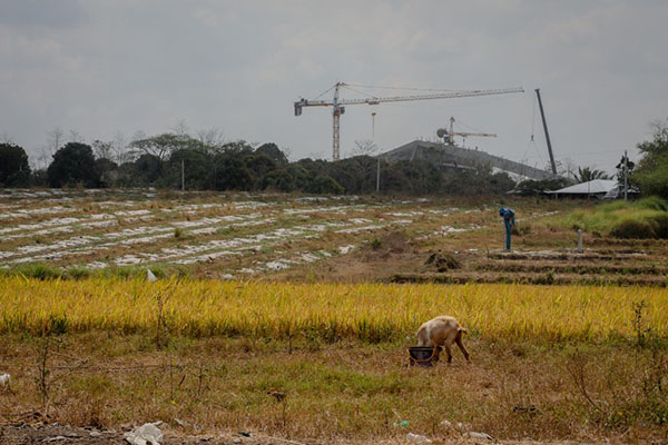 People who have lived for generations in a farming town resist being forgotten as a metropolis of the future grows around them 