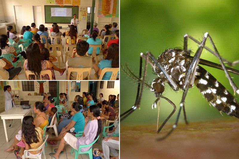 6 tips to keep your New Year dengue-free