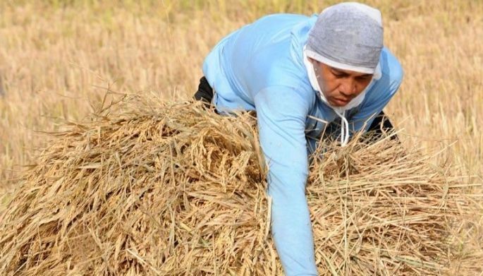 Government to miss agriculture growth target for 2018