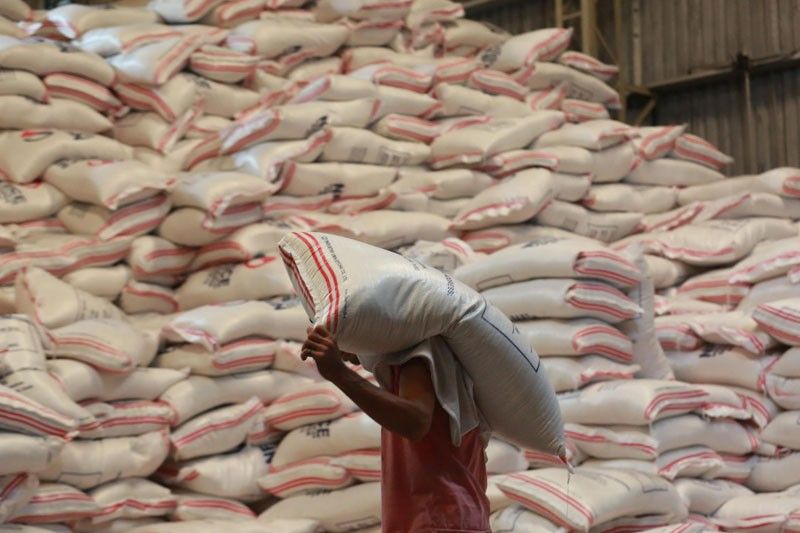 Governments, experts seek more rice with less resources