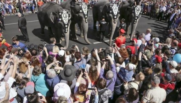 Animal charities to open European circus elephant sanctuary