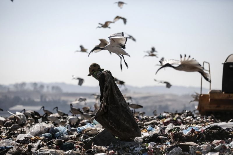 Paris, Tokyo, New York and others pledge to slash waste
