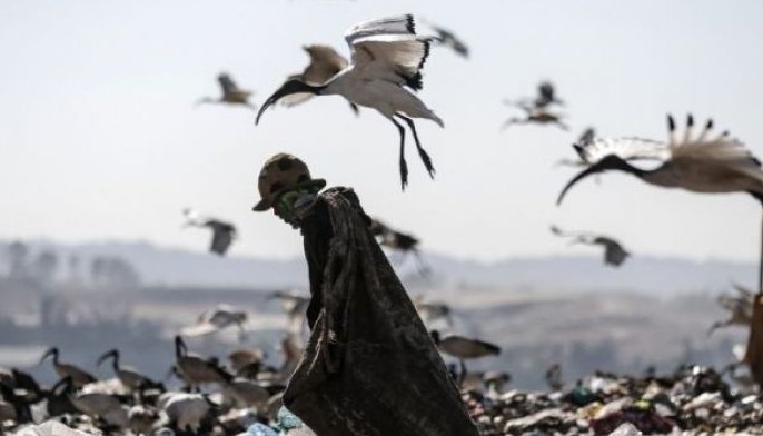 Paris, Tokyo, New York and others pledge to slash waste