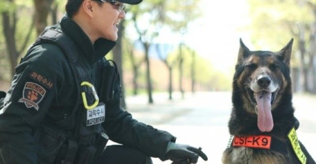 Snake bites dog: South Korea police to honor dead canine