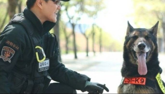 Snake bites dog: South Korea police to honor dead canine