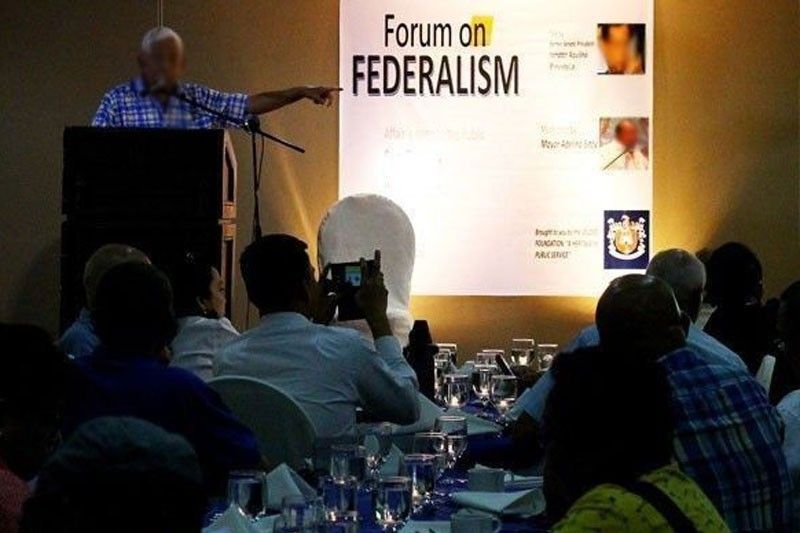 Consultative committee warned of costly federalism
