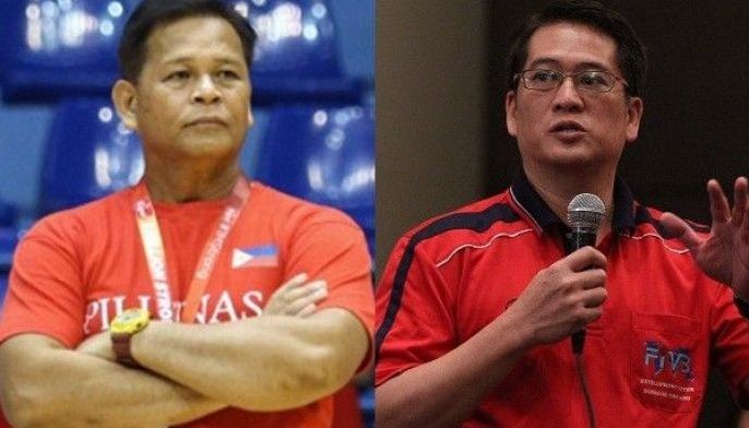 Acaylar, Vicente named national volleyball team head coaches