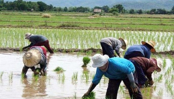 Provincial government distributes P1.4M farm equipment