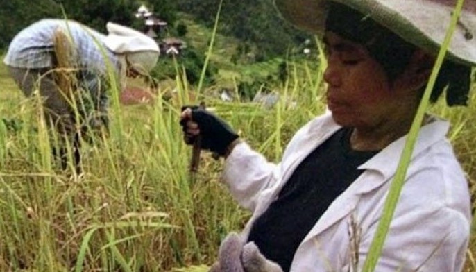 Female farm workers still get lower wages