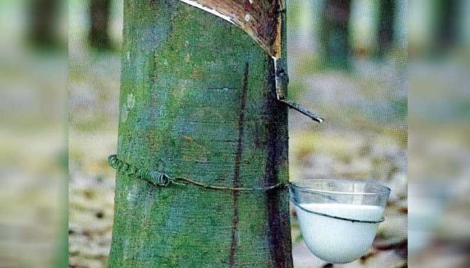 Government to stretch rubber industry to full potential