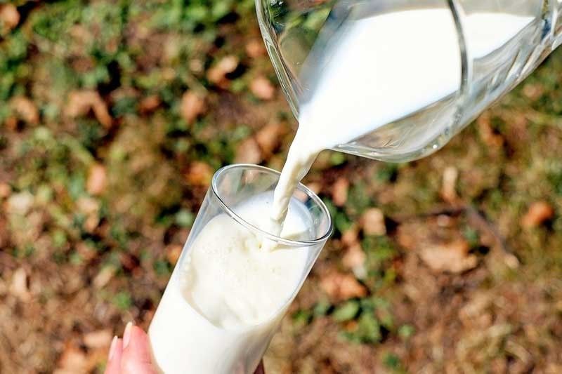 Philippine dairy imports up 8%