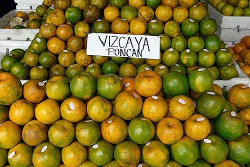 Nueva Vizcaya boosts claim as Region 2â��s â��citrus capitalâ��