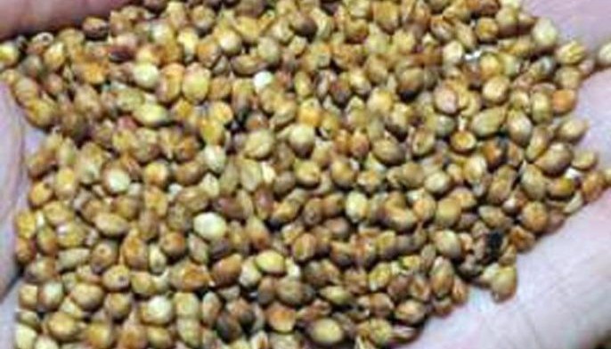 Amendments to Seed Law pushed