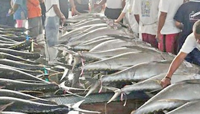 Fisheries production drops in Q1