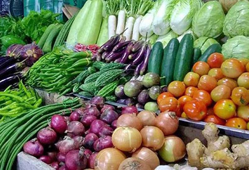 â��Vegetable Bowl of Pangasinanâ�� continues to reap bounty harvest