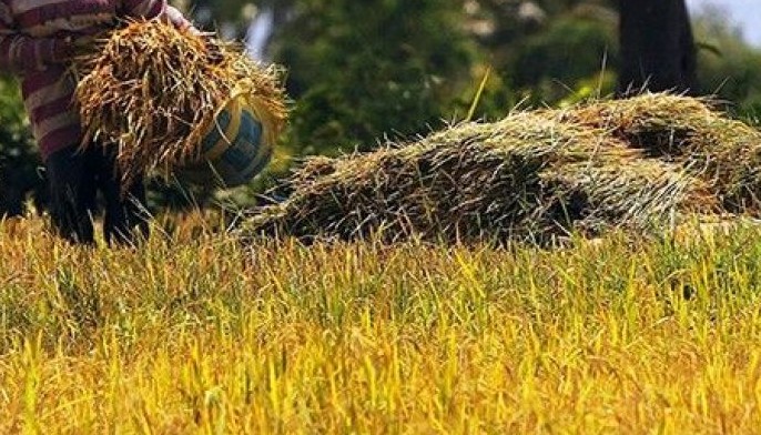 Philippines to collaborate with China on agriculture