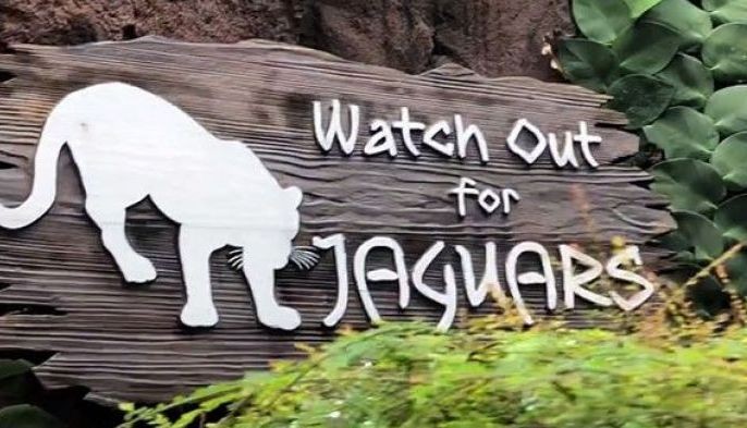 New attraction offers tour of Amazon River in just 10 minutes