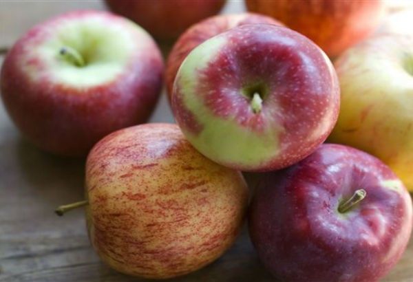 Philippines may import apples from Iran