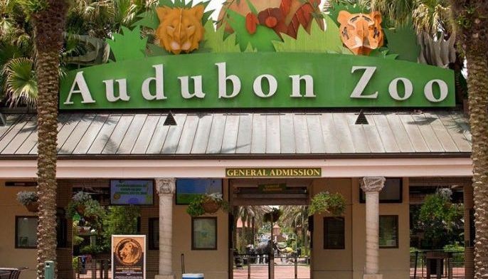 Eighth animal dies after jaguar escapes Audubon Zoo habitat