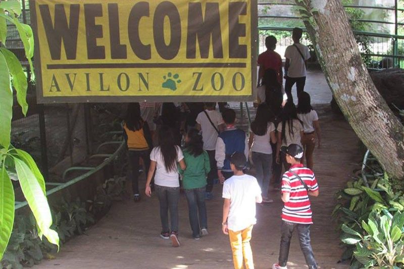 Endangered animals in Avilon Zoo reportedly stolen