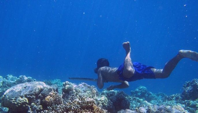 Scientists discover secret to why Bajaus are stronger divers