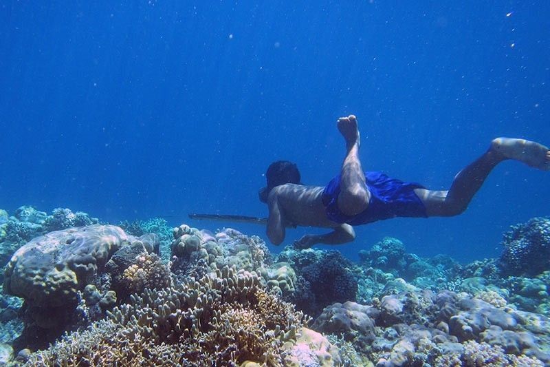 Coral reefs in Southeast Asia under threat