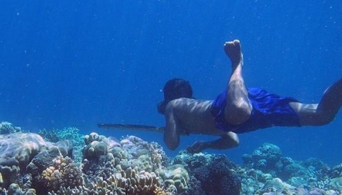 Coral reefs in Southeast Asia under threat