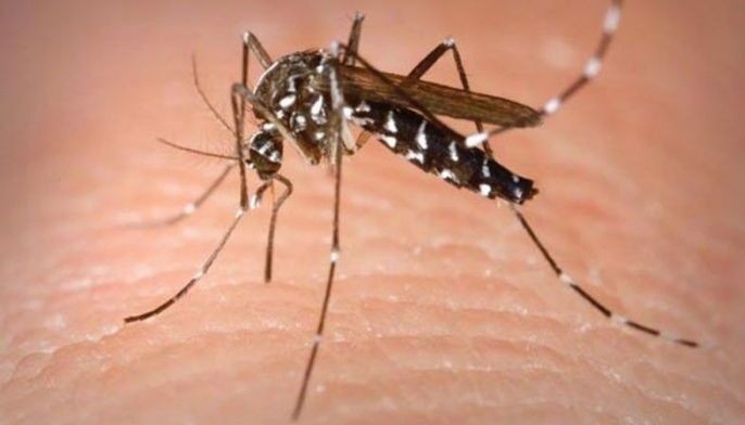 Dengue vaccine dili pa mahatag