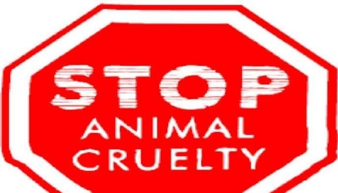 Rali para sa animal liberation
