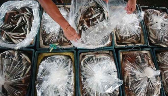 Embalsamadong &lsquo;Galunggong&rsquo; mula China haharangin