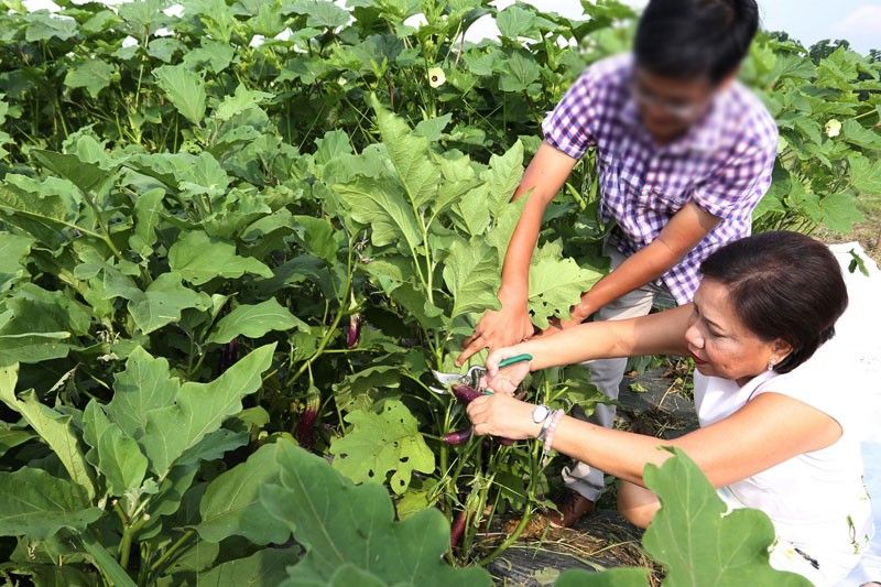 Villar: Backyard veggies gardening, makababawas sa epekto ng inflation