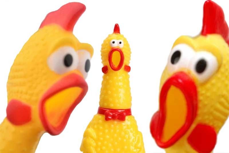 â��Shrilling Chickenâ�� Toy ipinatatanggal