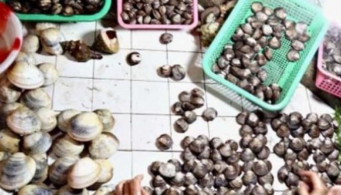 Shellfish ban sa 5 lalawigan