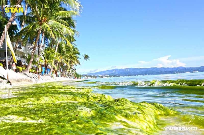 WATCH: Algae turn Boracay waters green