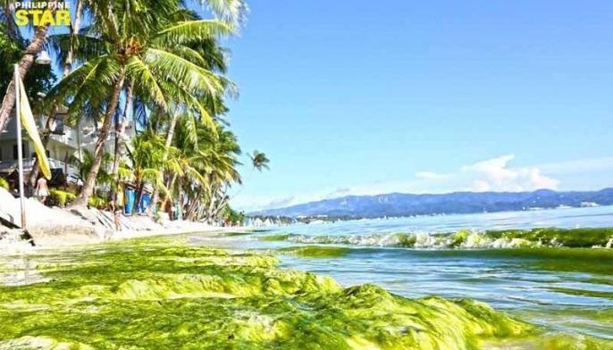 WATCH: Algae turn Boracay waters green
