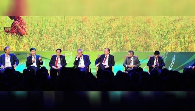 Strengthening and mentoring agriculture
