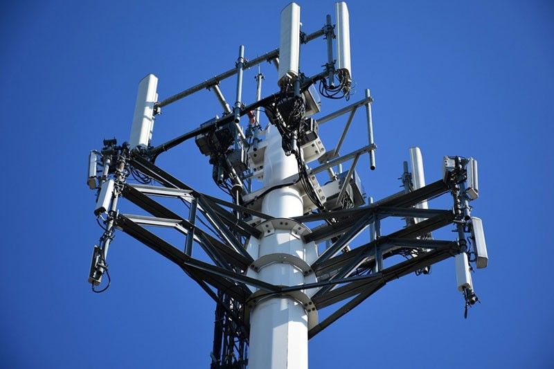 Govâ��t might reveal new telco player by June, to set new selection rules