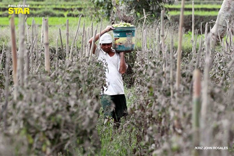 La NiÃ±a to boost farm output in second quarter