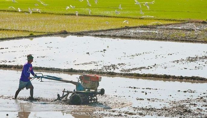 Philippines on wrong path to agro-industrialization