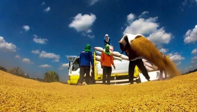 Banks pay P6 B penalties for failure  to meet agri-agra thresholds