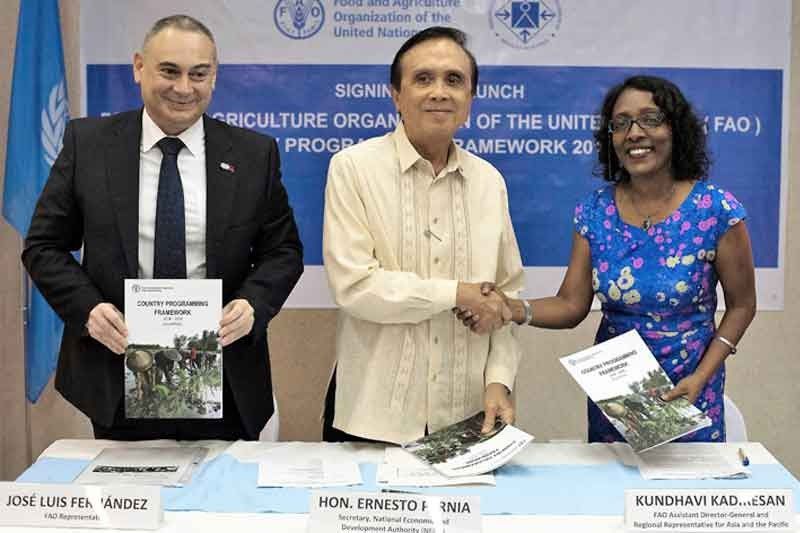 FAO crafts 6-year plan to improve Philippine farms
