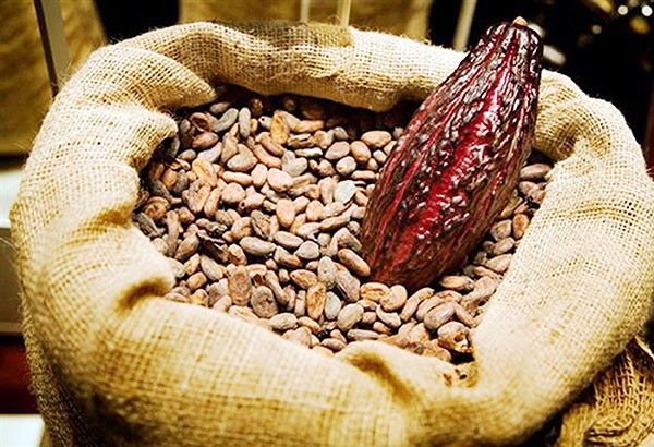 Produkto sa cacao tema sa Talisay contingent