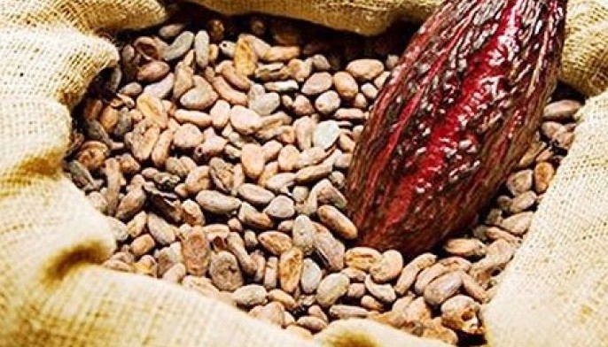 Produkto sa cacao tema sa Talisay contingent
